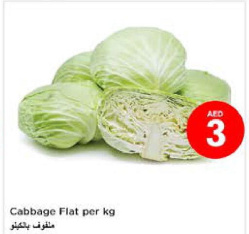  Cabbage  in نستو هايبرماركت in الإمارات العربية المتحدة , الامارات - الشارقة / عجمان