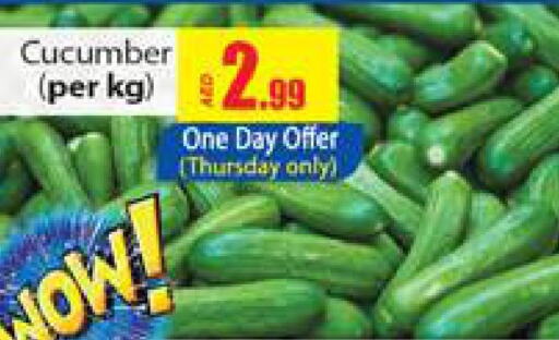  Cucumber  in Gulf Hypermarket LLC in UAE - Ras al Khaimah