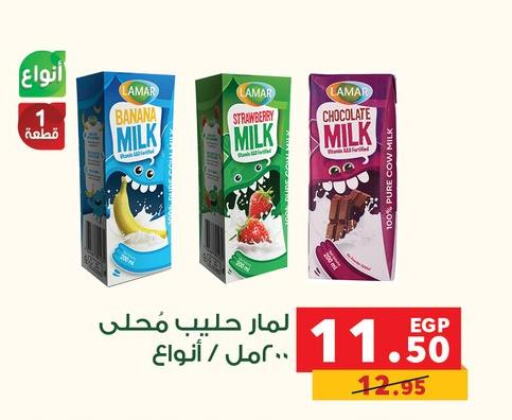  Flavoured Milk  in Panda  in Egypt - Cairo