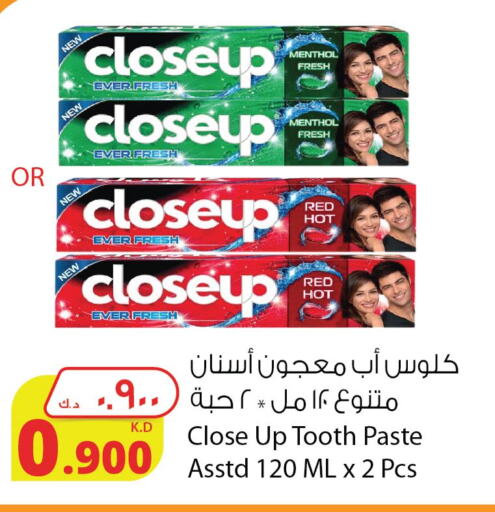 CLOSE UP Toothpaste  in Agricultural Food Products Co. in Kuwait - Kuwait City