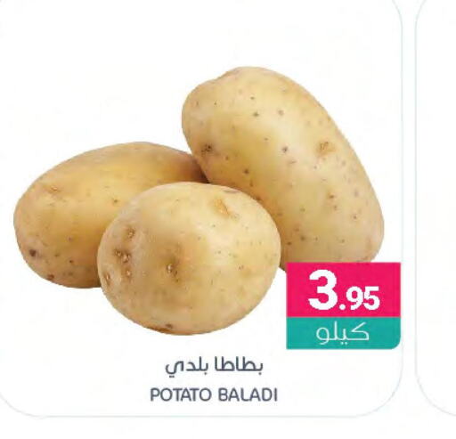  Potato  in اسواق المنتزه in مملكة العربية السعودية, السعودية, سعودية - القطيف‎
