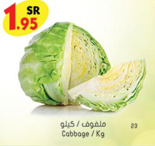  Cabbage  in Bin Dawood in KSA, Saudi Arabia, Saudi - Mecca