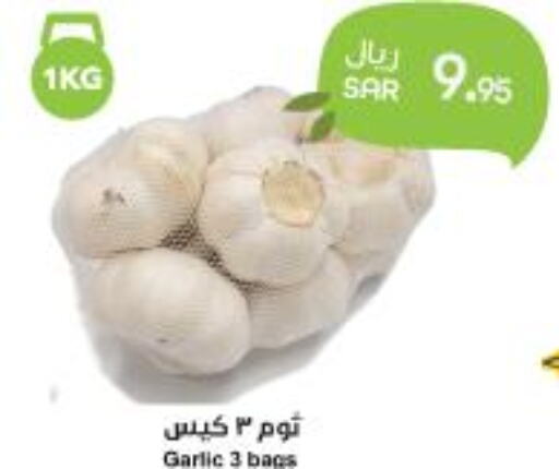  Garlic  in واحة المستهلك in مملكة العربية السعودية, السعودية, سعودية - المنطقة الشرقية