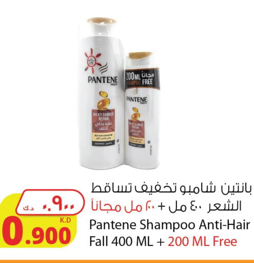 PANTENE Shampoo / Conditioner  in شركة المنتجات الزراعية الغذائية in الكويت - محافظة الجهراء