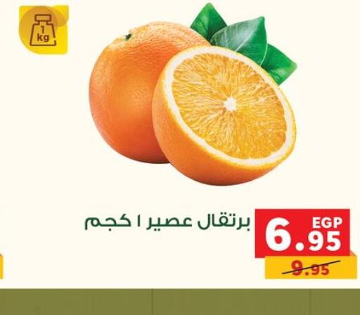  Orange  in بنده in Egypt - القاهرة
