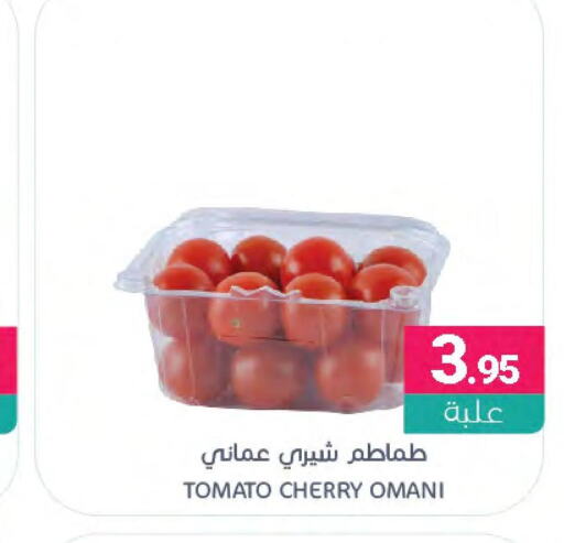  Tomato  in Muntazah Markets in KSA, Saudi Arabia, Saudi - Qatif