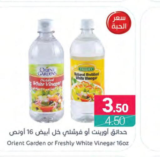 FRESHLY Vinegar  in Muntazah Markets in KSA, Saudi Arabia, Saudi - Qatif