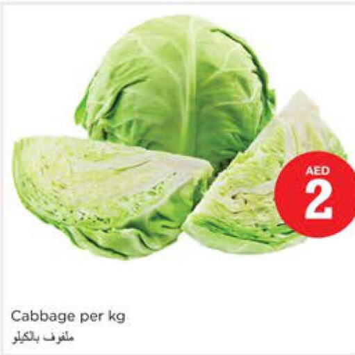  Cabbage  in نستو هايبرماركت in الإمارات العربية المتحدة , الامارات - الشارقة / عجمان