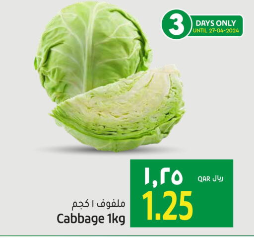 Cabbage  in Gulf Food Center in Qatar - Al Khor