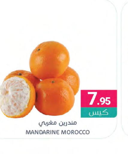 Orange  in Muntazah Markets in KSA, Saudi Arabia, Saudi - Qatif