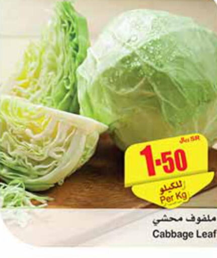  Cabbage  in أسواق عبد الله العثيم in مملكة العربية السعودية, السعودية, سعودية - بيشة