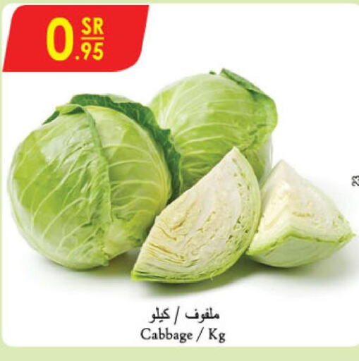  Cabbage  in الدانوب in مملكة العربية السعودية, السعودية, سعودية - الأحساء‎