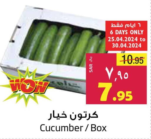  Cucumber  in Layan Hyper in KSA, Saudi Arabia, Saudi - Dammam