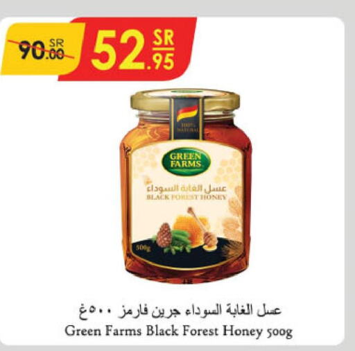  Honey  in الدانوب in مملكة العربية السعودية, السعودية, سعودية - الرياض