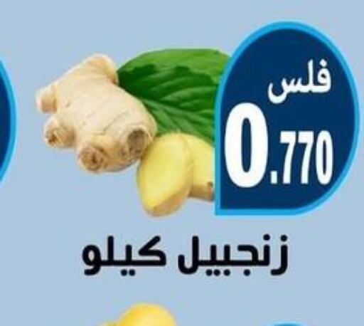  Ginger  in جمعية الرحاب التعاونية in الكويت - مدينة الكويت