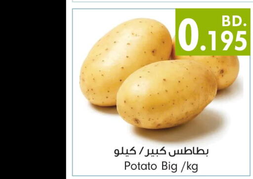  Potato  in Bahrain Pride in Bahrain
