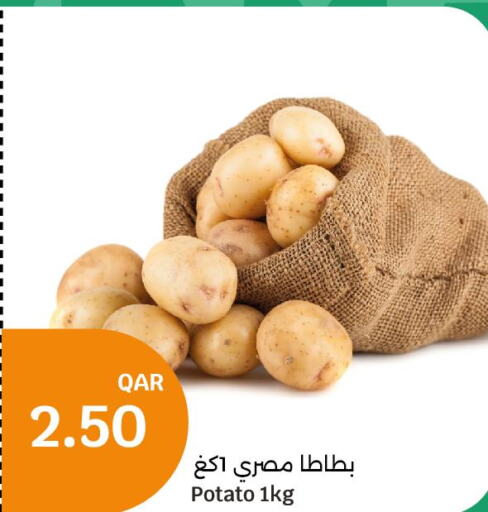  Potato  in City Hypermarket in Qatar - Al-Shahaniya