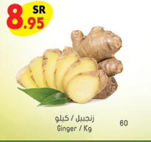  Ginger  in Bin Dawood in KSA, Saudi Arabia, Saudi - Ta'if