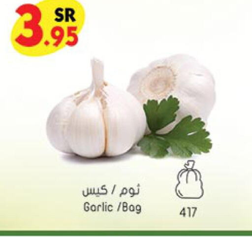  Garlic  in Bin Dawood in KSA, Saudi Arabia, Saudi - Khamis Mushait