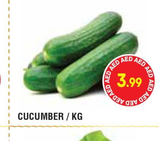  Cucumber  in سوبرماركت هوم فريش ذ.م.م in الإمارات العربية المتحدة , الامارات - أبو ظبي