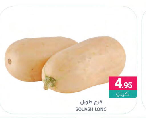  Potato  in Muntazah Markets in KSA, Saudi Arabia, Saudi - Dammam