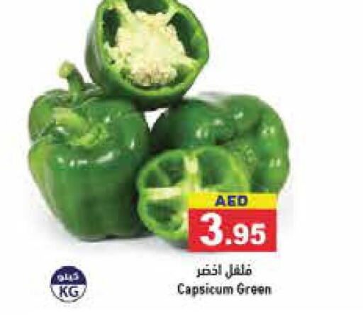  Chilli / Capsicum  in أسواق رامز in الإمارات العربية المتحدة , الامارات - دبي