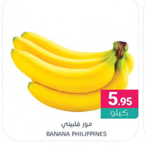  Banana  in Muntazah Markets in KSA, Saudi Arabia, Saudi - Qatif