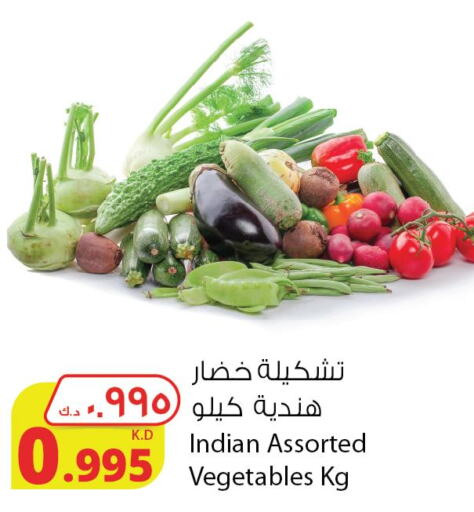  Sweet melon  in شركة المنتجات الزراعية الغذائية in الكويت - محافظة الأحمدي