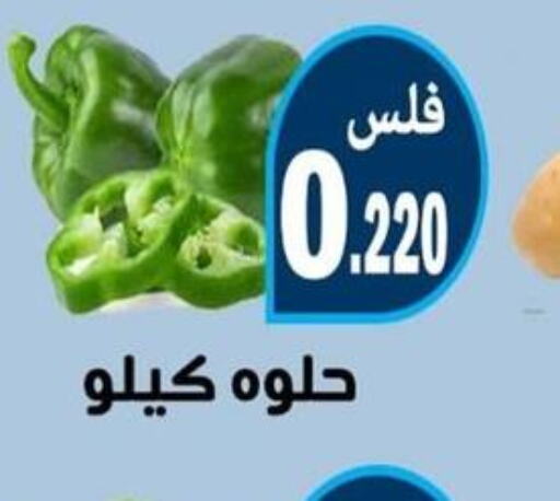  Chilli / Capsicum  in جمعية الرحاب التعاونية in الكويت - مدينة الكويت