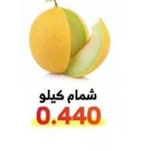  Sweet melon  in جمعية الوفرة التعاونية in الكويت - محافظة الأحمدي