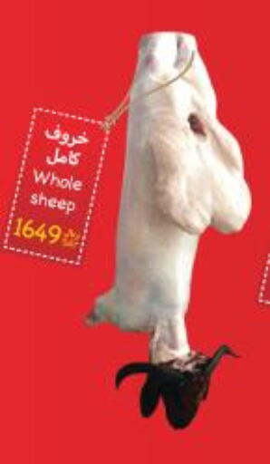  Mutton / Lamb  in واحة المستهلك in مملكة العربية السعودية, السعودية, سعودية - الرياض