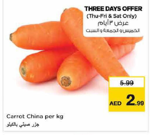  Carrot  in لاست تشانس in الإمارات العربية المتحدة , الامارات - ٱلْفُجَيْرَة‎