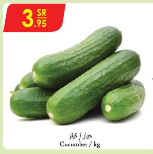  Cucumber  in الدانوب in مملكة العربية السعودية, السعودية, سعودية - الخبر‎