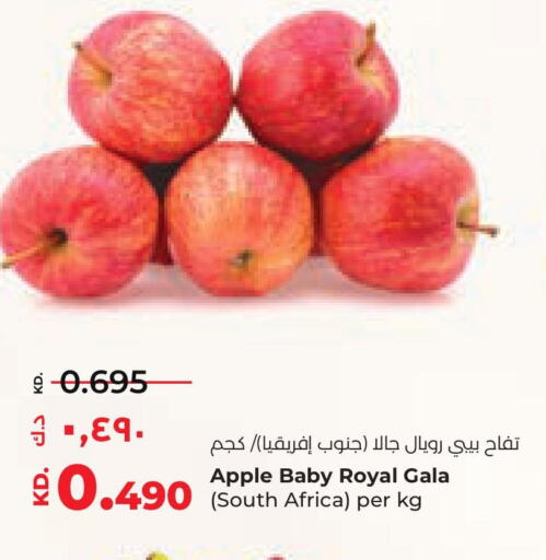  Apples  in لولو هايبر ماركت in الكويت - محافظة الأحمدي