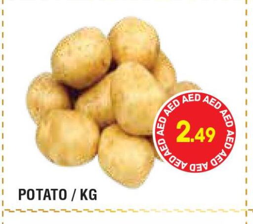  Potato  in Home Fresh Supermarket in UAE - Abu Dhabi