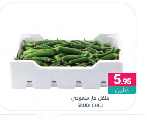  Chilli / Capsicum  in Muntazah Markets in KSA, Saudi Arabia, Saudi - Dammam