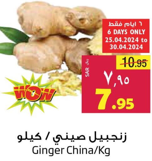  Ginger  in Layan Hyper in KSA, Saudi Arabia, Saudi - Dammam