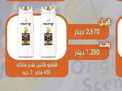PANTENE Shampoo / Conditioner  in جمعية القيروان التعاونية in الكويت - محافظة الجهراء