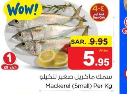  King Fish  in Nesto in KSA, Saudi Arabia, Saudi - Jubail