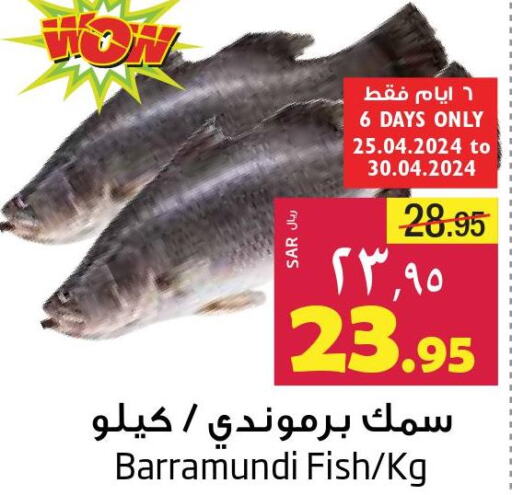  King Fish  in ليان هايبر in مملكة العربية السعودية, السعودية, سعودية - المنطقة الشرقية