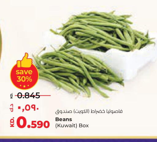  Beans  in Lulu Hypermarket  in Kuwait - Ahmadi Governorate
