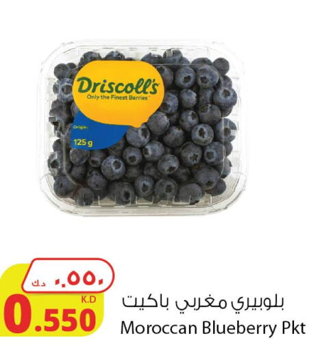  Berries  in Agricultural Food Products Co. in Kuwait - Ahmadi Governorate