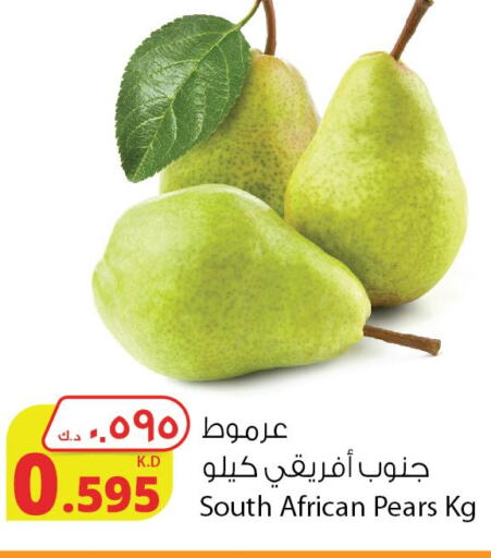  Pear  in Agricultural Food Products Co. in Kuwait - Jahra Governorate