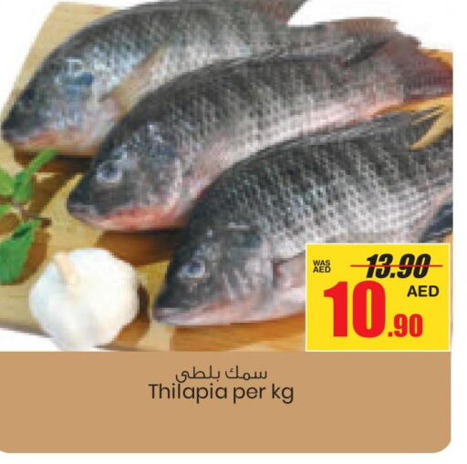  King Fish  in Armed Forces Cooperative Society (AFCOOP) in UAE - Abu Dhabi