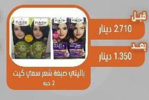PALETTE Hair Colour  in Qairawan Coop  in Kuwait - Jahra Governorate