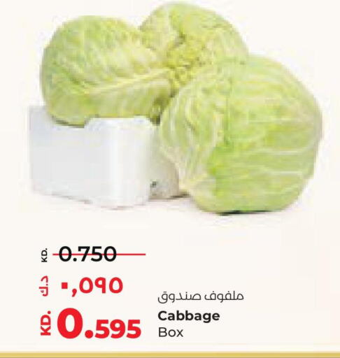  Cabbage  in Lulu Hypermarket  in Kuwait - Kuwait City