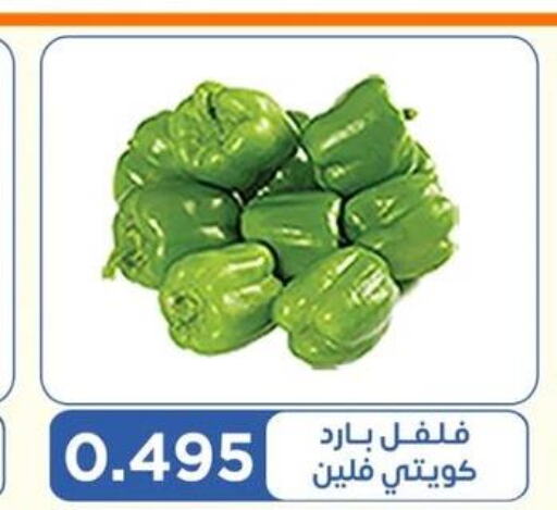  Chilli / Capsicum  in جمعية اشبيلية التعاونية in الكويت - مدينة الكويت