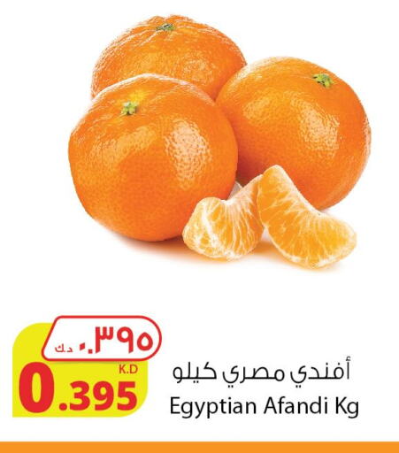  Orange  in Agricultural Food Products Co. in Kuwait - Kuwait City