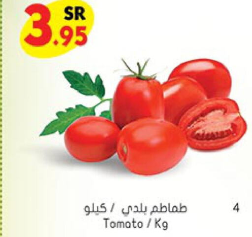  Tomato  in Bin Dawood in KSA, Saudi Arabia, Saudi - Ta'if
