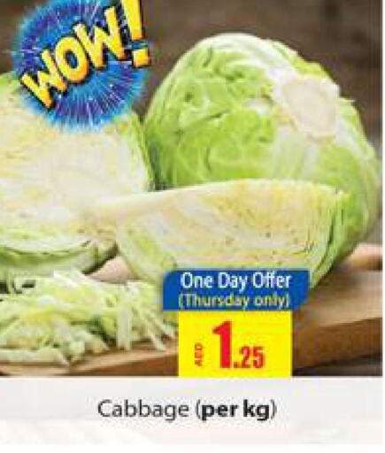  Cabbage  in Gulf Hypermarket LLC in UAE - Ras al Khaimah